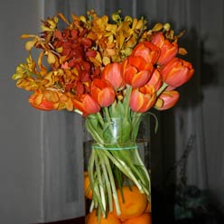 Tulips with Orchids and Oranges